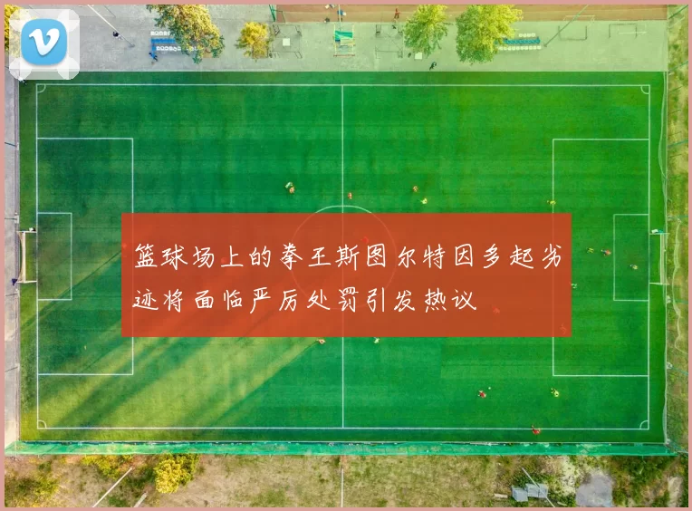 篮球场上的拳王斯图尔特因多起劣迹将面临严厉处罚引发热议